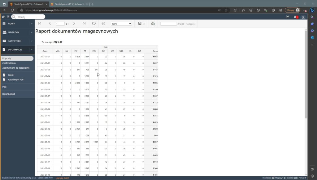 raport Statystyka bieżący miesiąc wg dni
